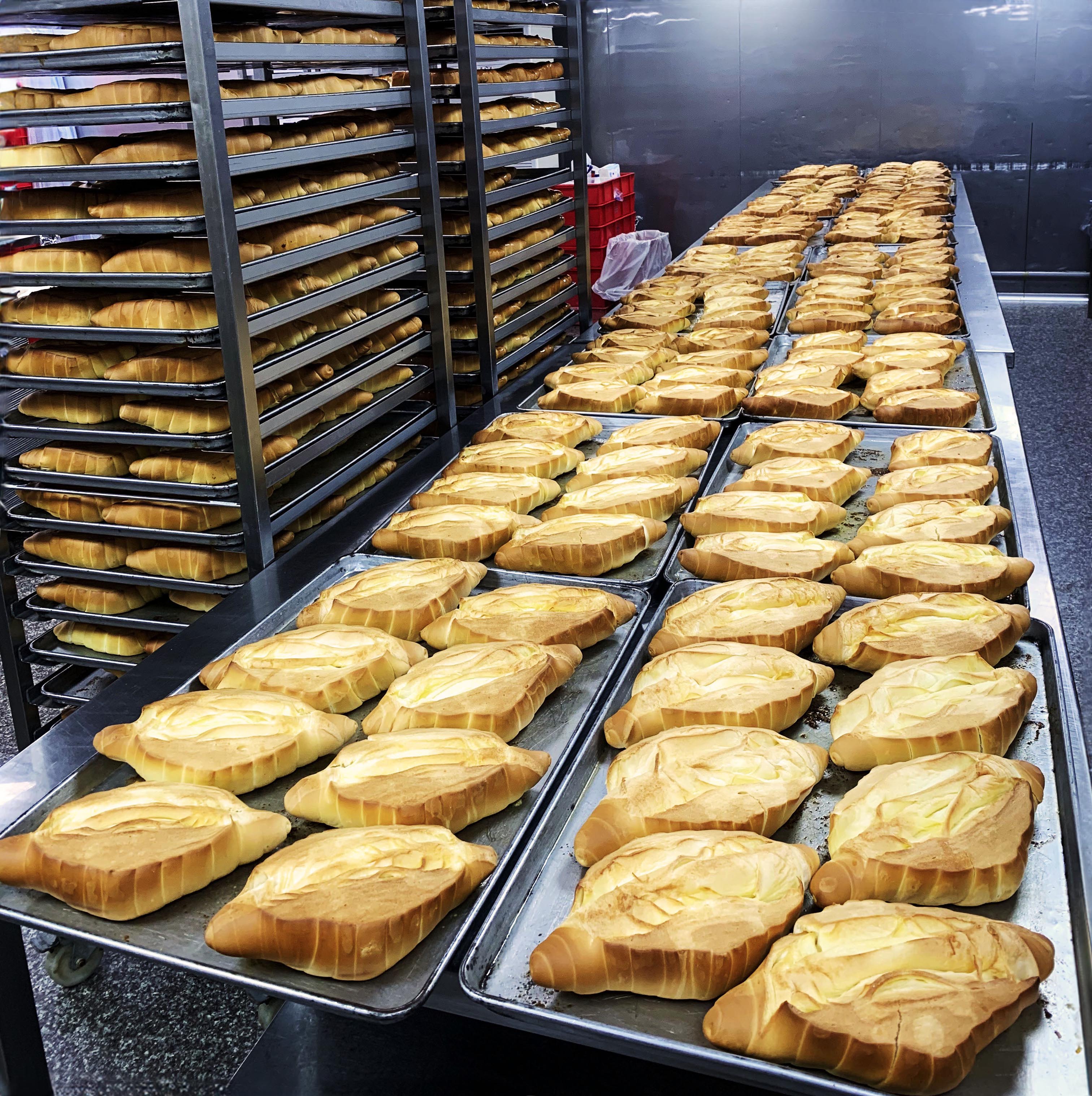 Wastewater Treatment for Master Feng Bakery in Kaohsiung, Taiwan